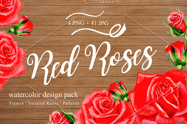 Wonderful red rose watercolor design
