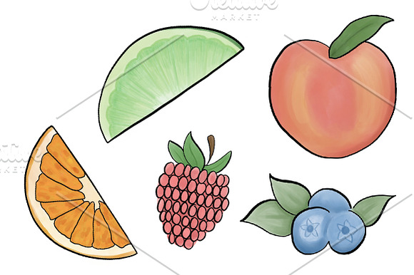 Hand Drawn Fruit Illustrations in Illustrations - product preview 2