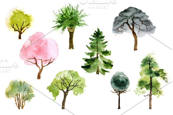 Watercolor trees and patterns in Illustrations - product preview 1