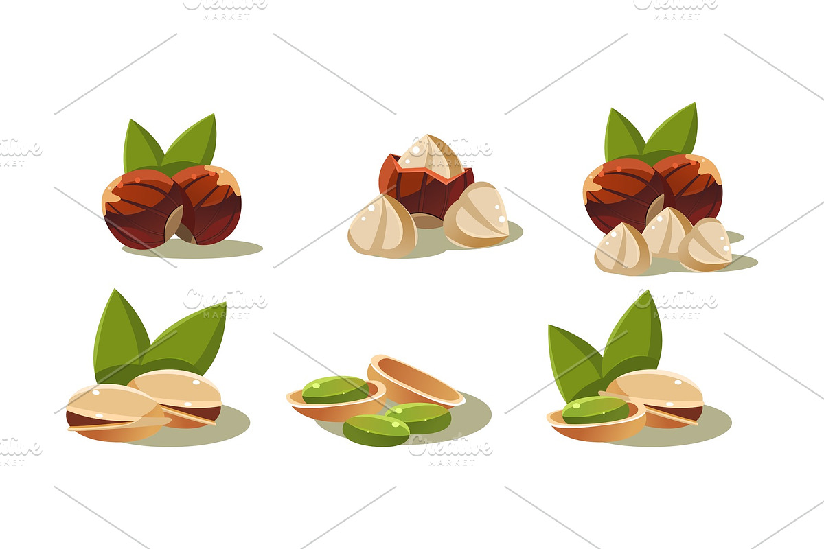 Fresh olives and pistachio nut in Illustrations - product preview 8