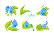 Green leaves and water drops set