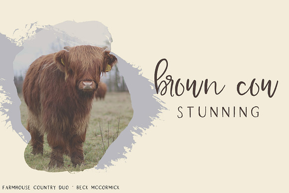 Farmhouse Country Rustic Font Duo in Script Fonts - product preview 4