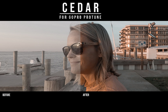 GoPro PROTUNE | CEDAR LUT PACK in Add-Ons - product preview 4