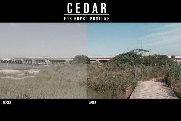 GoPro PROTUNE | CEDAR LUT PACK in Add-Ons - product preview 6