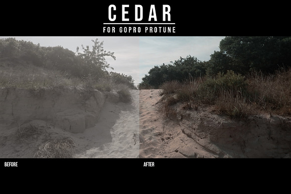 GoPro PROTUNE | CEDAR LUT PACK in Add-Ons - product preview 7