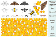 Bee / Wax Moth / Worm / Comb Vector
