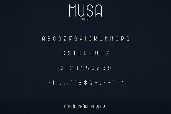 Musa Display Typeface - 12 fonts in Display Fonts - product preview 7