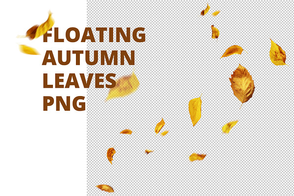 Floating autumn leaves PNG