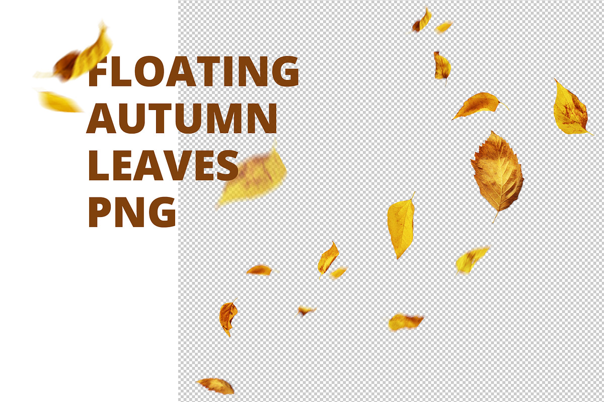 Floating autumn leaves PNG in Objects - product preview 8