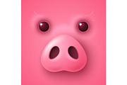 Pig face for Chinese New Year