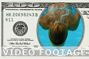 Woman is diving in 100 dollar bill