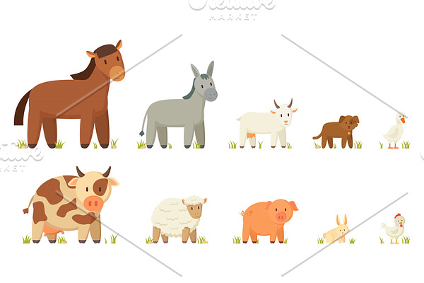 Farm Animals Illustration Set