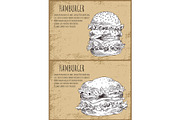 Hambergers Graphic Art Isolated on