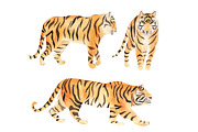 Watercolor Tiger Set
