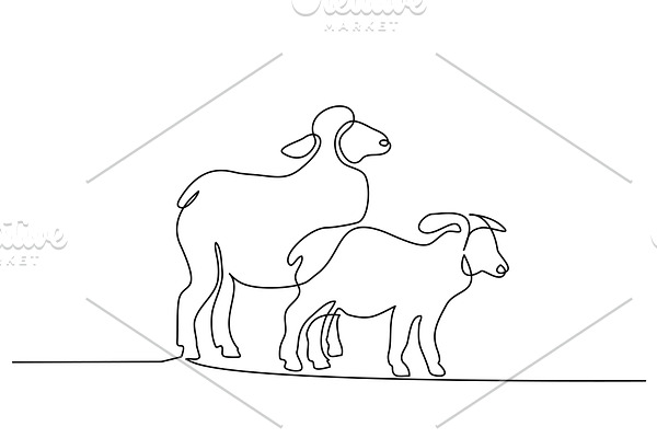 Continuous line drawing Sheeps