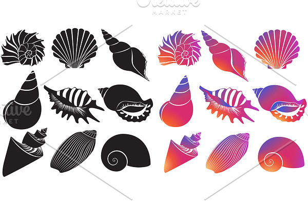 Sea shells silhouettes isolated