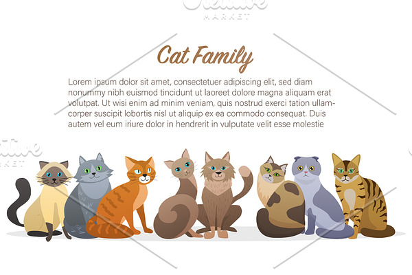 Cute cartoon cats family