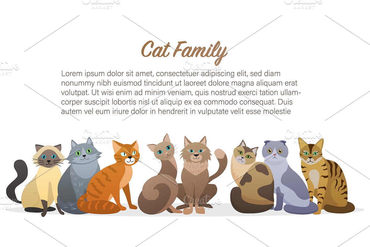 Cute cartoon cats family in Illustrations - product preview 8