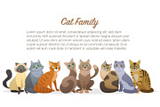 Cute cartoon cats family