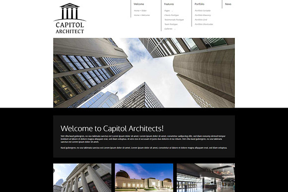 Capitol - Architect WP Theme in WordPress Business Themes - product preview 1