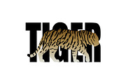 Fashion T-shirt print with tiger