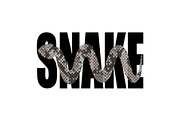Fashion T-shirt print with snake