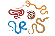 Set of Serpents in Different Colors