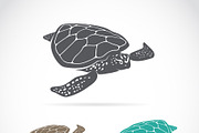 Vector of turtle design. Reptile.