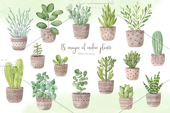 Watercolor indoor plants. in Illustrations - product preview 1