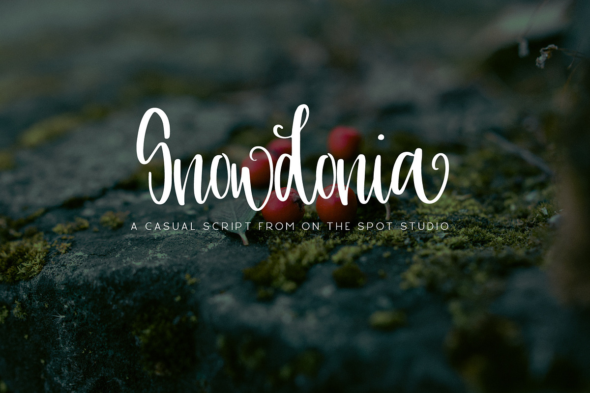 Snowdonia in Script Fonts - product preview 8