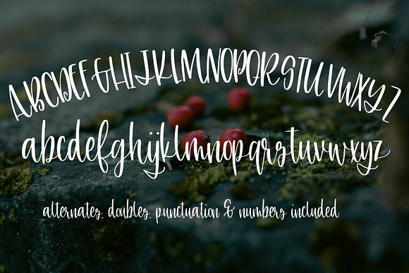 Snowdonia in Script Fonts - product preview 3