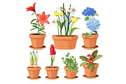 Modern flower pots. Colored