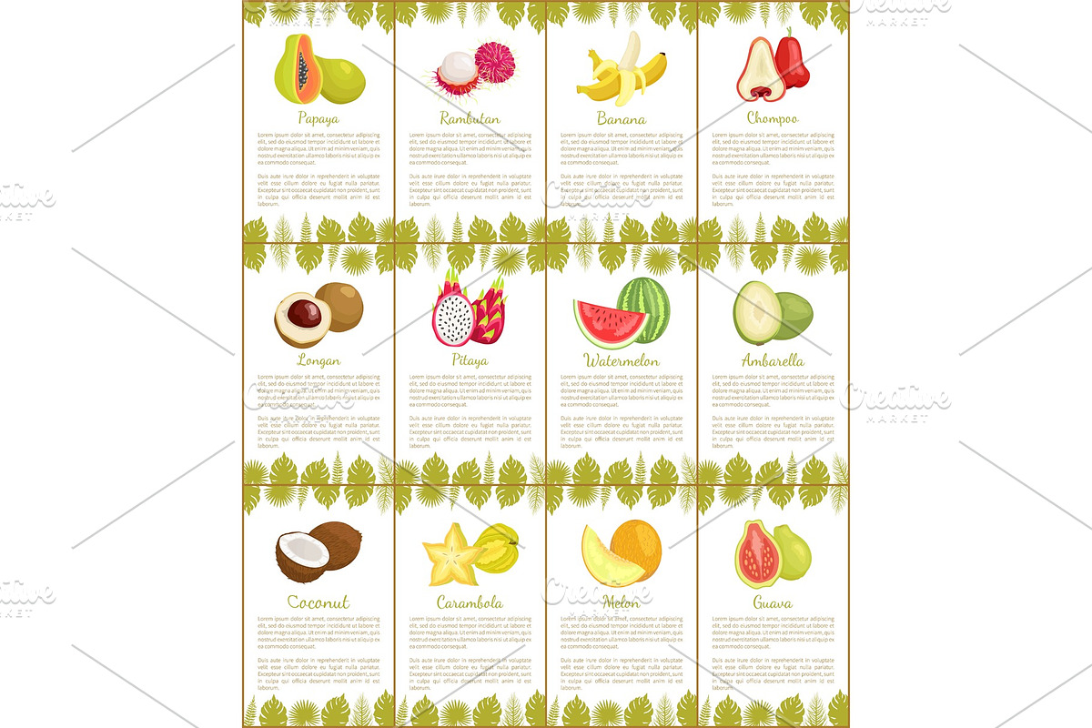 Pomelo and Longan Posters Vector in Illustrations - product preview 8