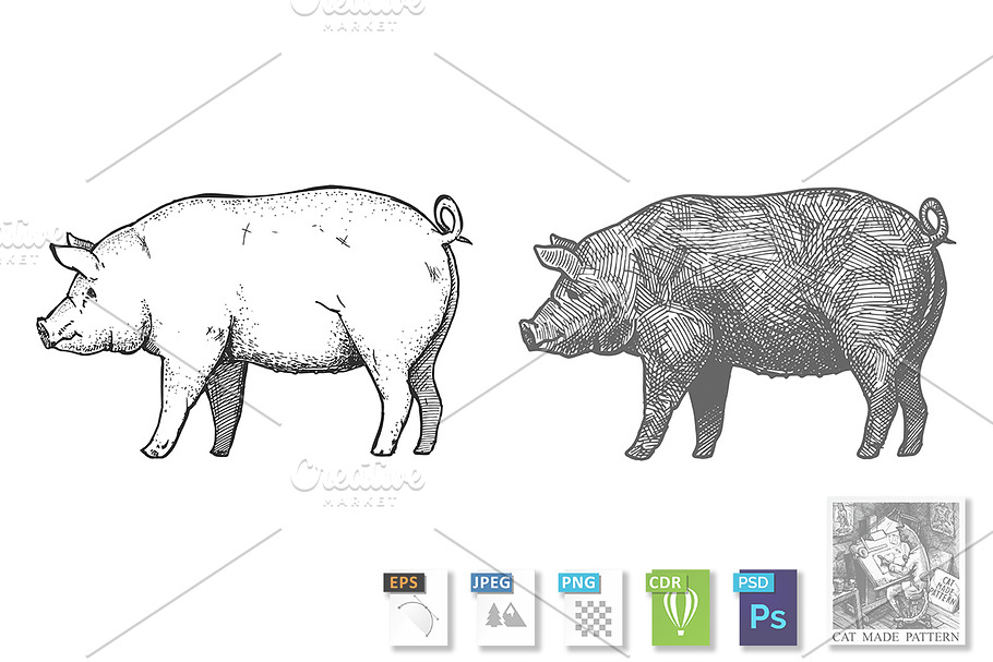 Hand drawn illustration of pig in Illustrations - product preview 8