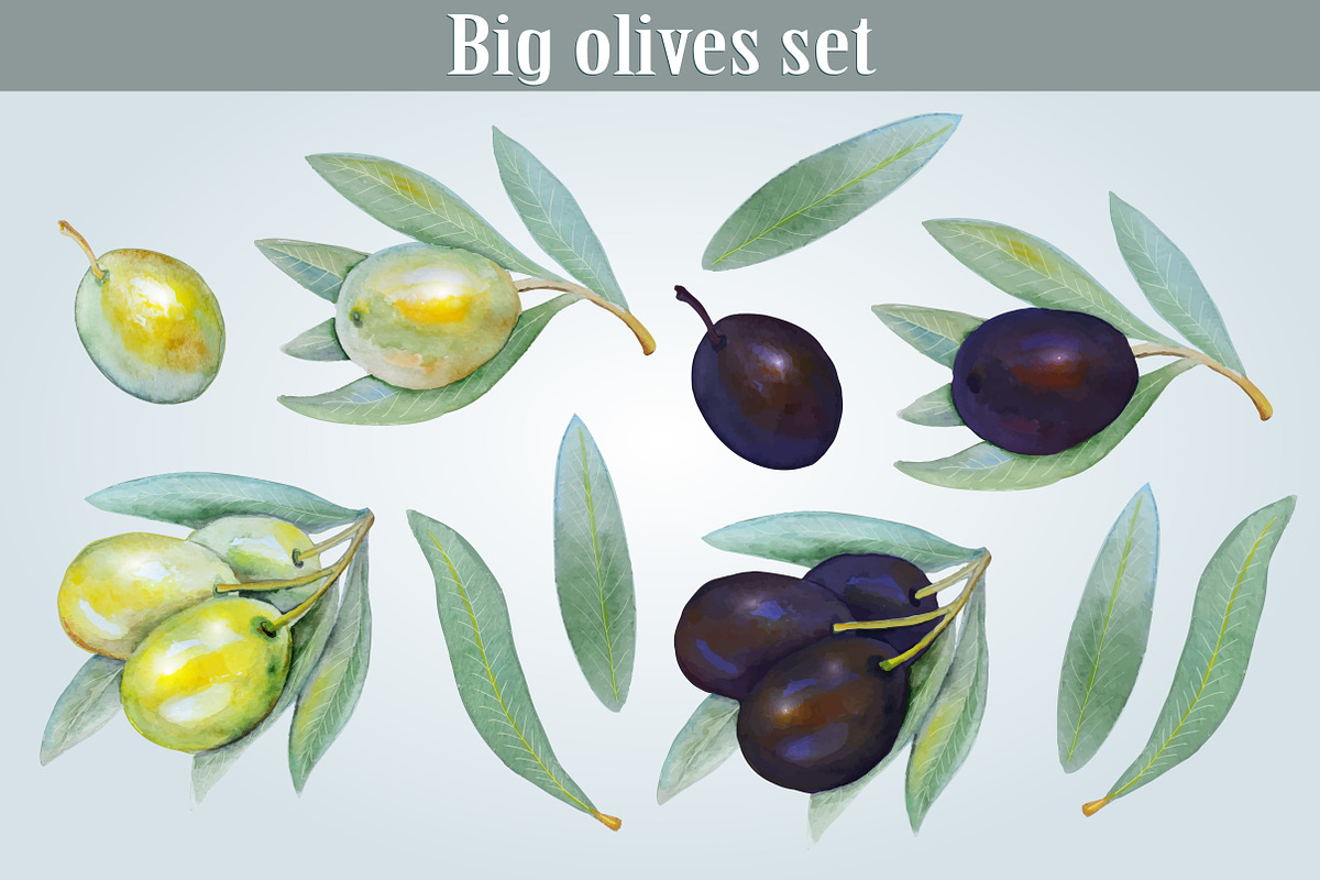Big olives set 2 in Illustrations - product preview 8