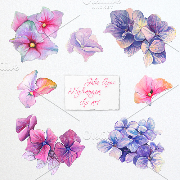 Hydrangea Flower Watercolor Clipart in Graphics - product preview 3