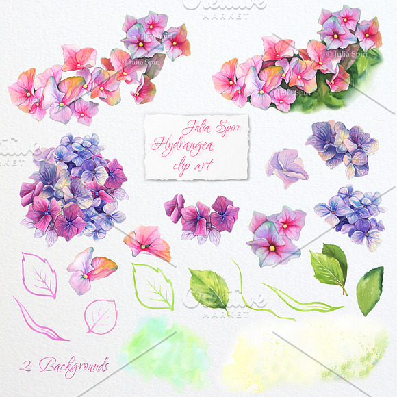 Hydrangea Flower Watercolor Clipart in Graphics - product preview 4