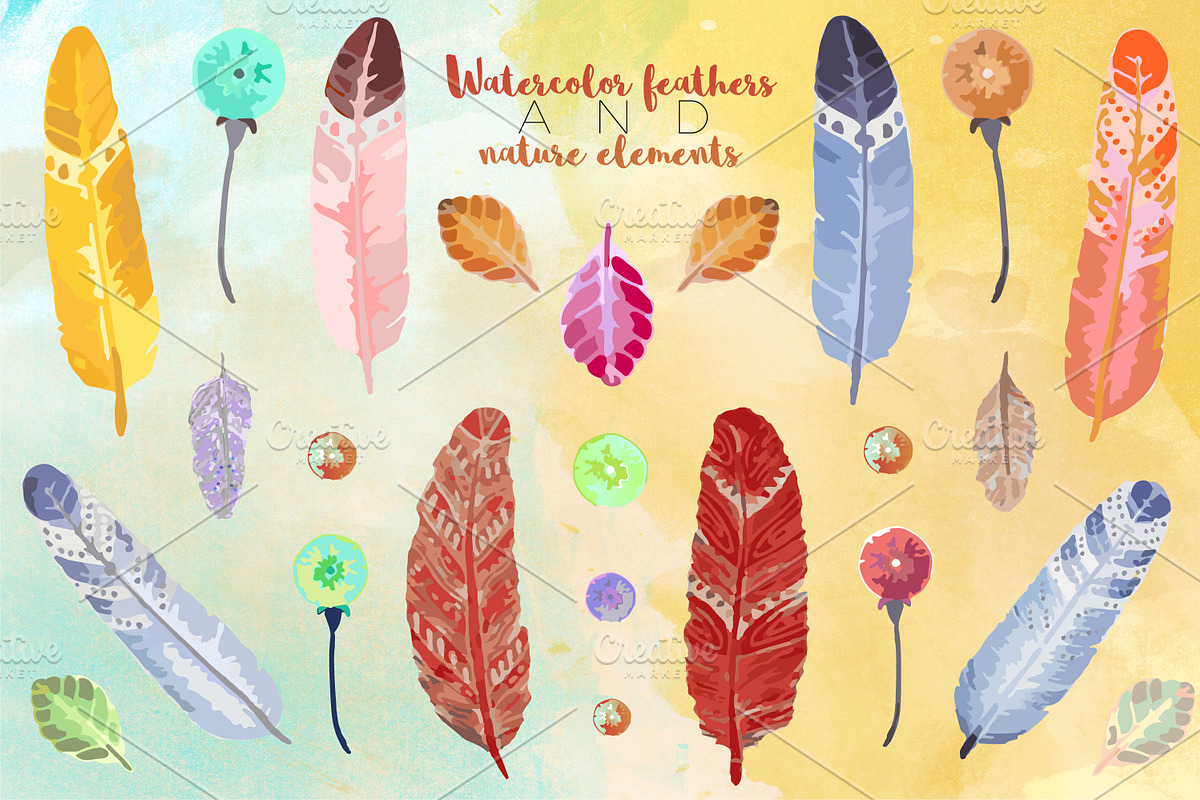 Watercolor Vector Feathers in Illustrations - product preview 8