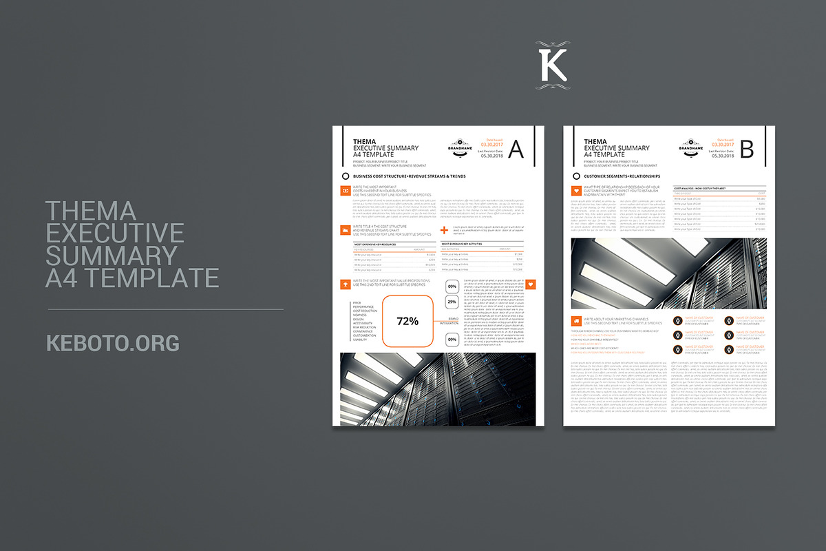 Thema Executive Summary A4 Template in Stationery Templates - product preview 8