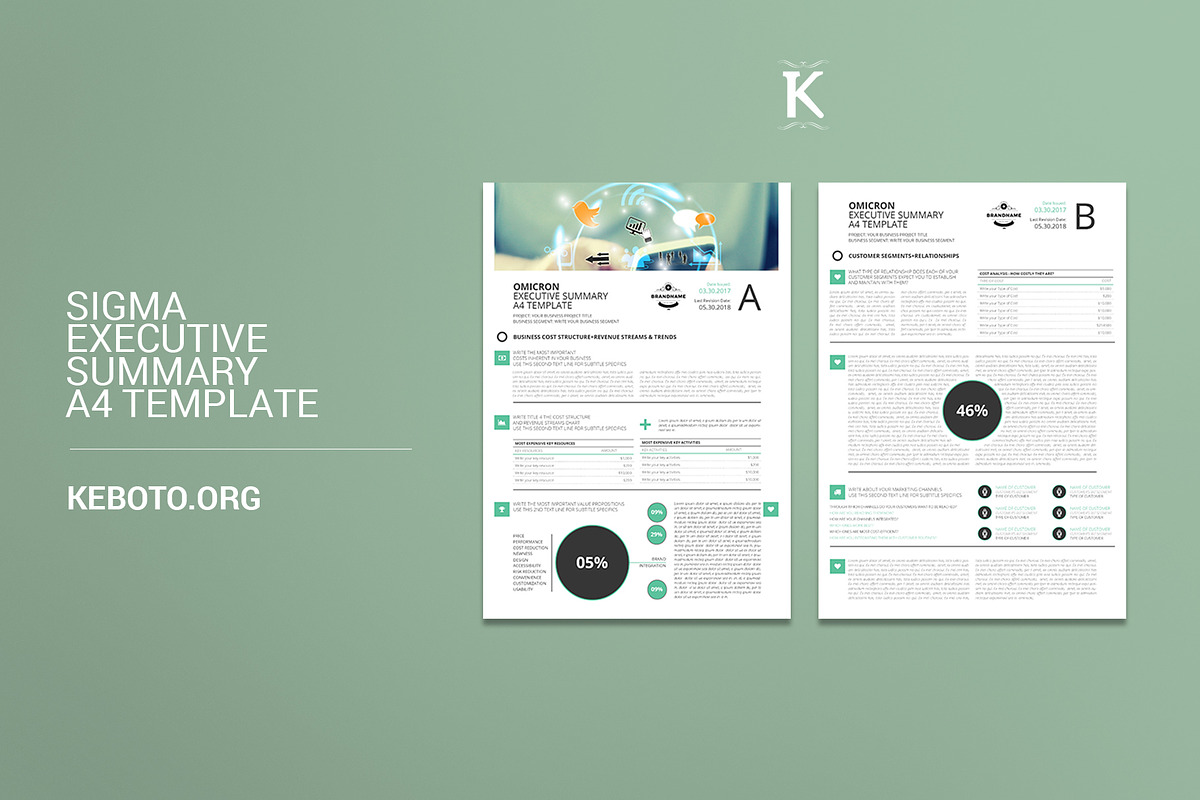 Sigma Executive Summary A4 Template in Templates - product preview 8