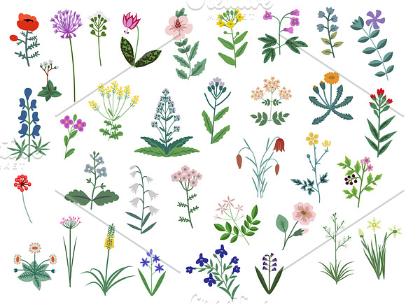 Wild flowers bundle in Patterns - product preview 2