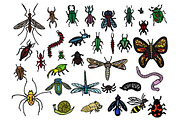 33 Hand Drawn Vector Bug Doodles