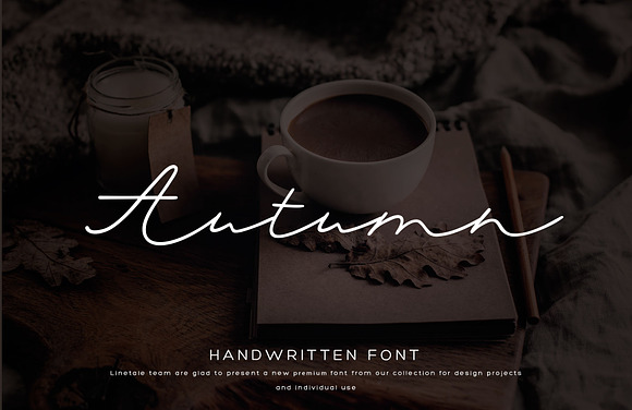 Harmony Font in Script Fonts - product preview 1