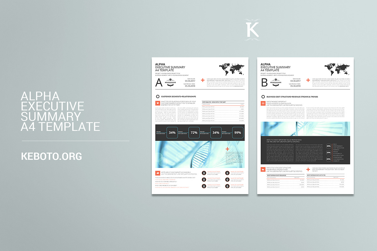Alpha Executive Summary A4 Template in Templates - product preview 8