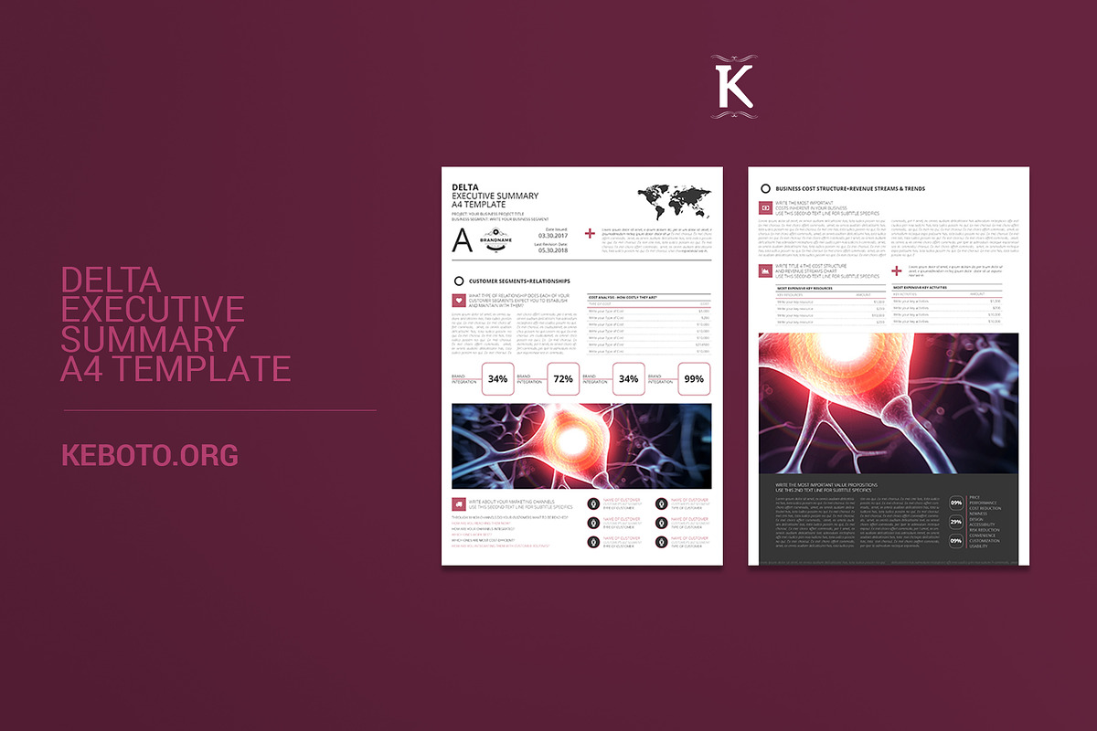 Delta Executive Summary A4 Template in Stationery Templates - product preview 8