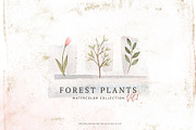 Watercolor Forest Plants