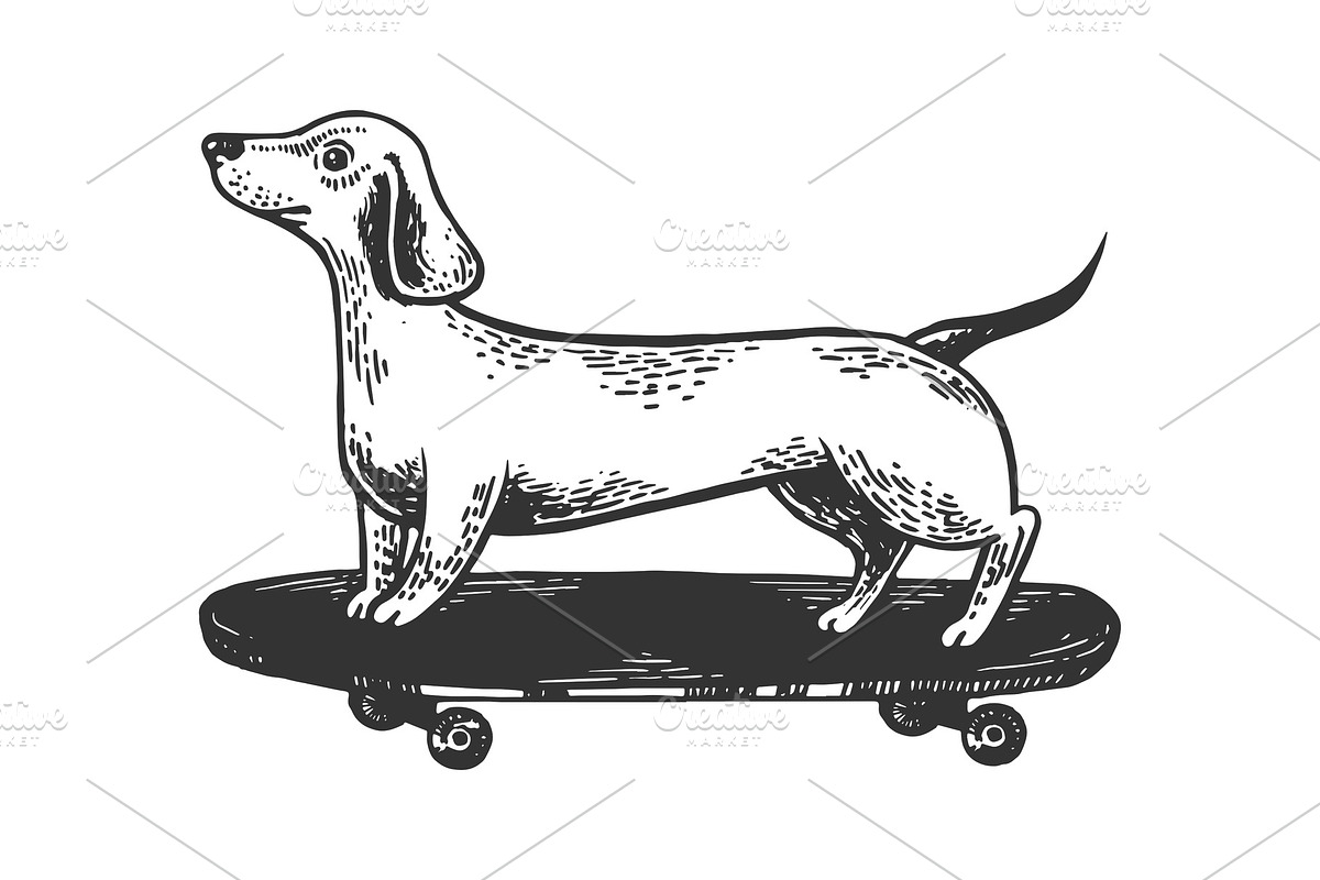 Dog on skateboard engraving vector in Illustrations - product preview 8