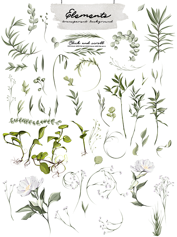 Peony & Green Leaf collection  in Illustrations - product preview 6