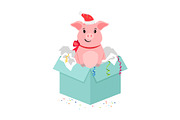 Cartoon pig in gift box