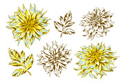Set of fluffy yellow dahlias and